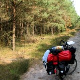 0309F 44 Sand und Heide bei Eschede